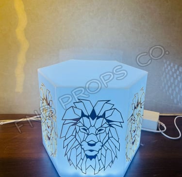 Modern acrylic bottle presenter with party lights