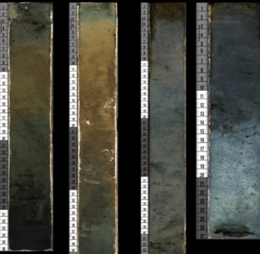 Sediment Cores obtained from alkaline Lake Goodenough and Last Chance.