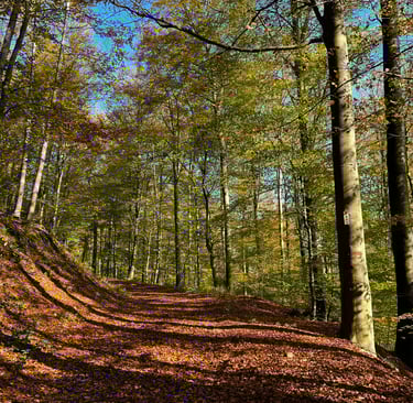 Lembach
