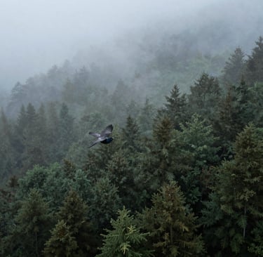 A black and white photograph of an open book. The visible page contains text, including the author's name 'Charlaine Harris' and part of a narrative about feelings of loneliness and rejection. A portion of black fabric with white lettering is partially visible at the top.