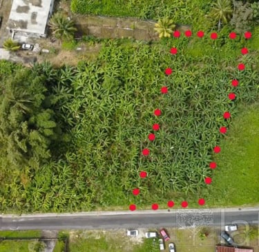 Terrain à vendre Laforêt Guadeloupe Capesterre Belle Eau