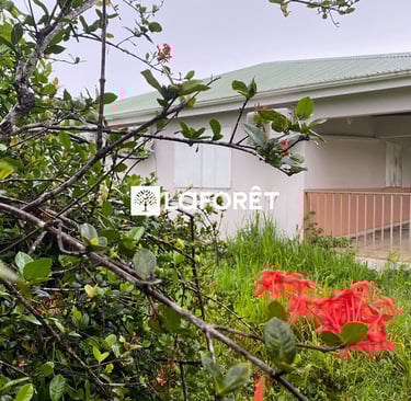 Maison à vendre Laforêt Guadeloupe Baie mahault