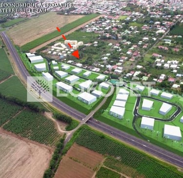 Terrain à vendre Laforêt Guadeloupe Capesterre Belle Eau