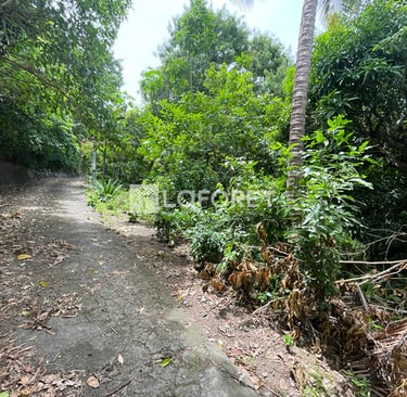 Terrain à vendre Laforêt Guadeloupe Deshaies