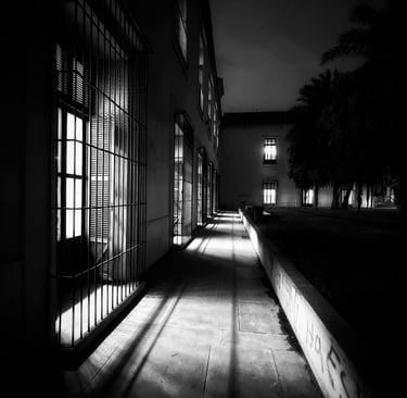 3 clasificado BN febrero 2026