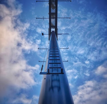 7º Clasificado Color Febrero