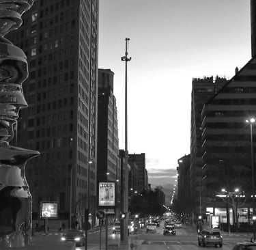 8 clasificado BN febrero 2026