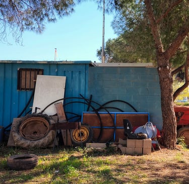 No clasificado 6 Color Febrero