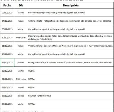 Actividades Diciembre 2025