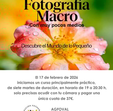 Cartel curso Macro Fotografía 2026