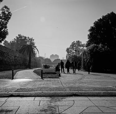 Foto no clasificada 7