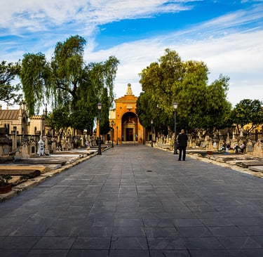 No clasificado 7 Color Febrero