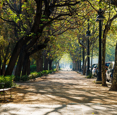 No clasificado 8 Color Febrero