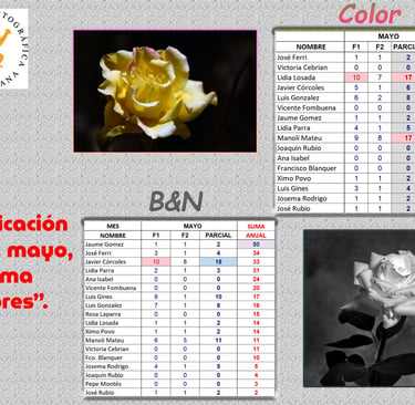 Clasificacion anual Concurso Mensual Mayo 2026