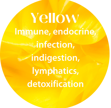 Colour Healing, Vedas, Seven Horses , Power of YELLOW