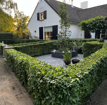 Voortuin in Roosendaal