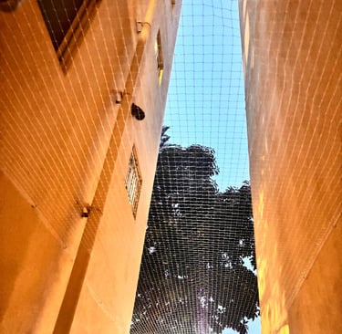 duct area nets installation in nagarbhavi