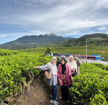 Kebun Teh Alahan Panjang