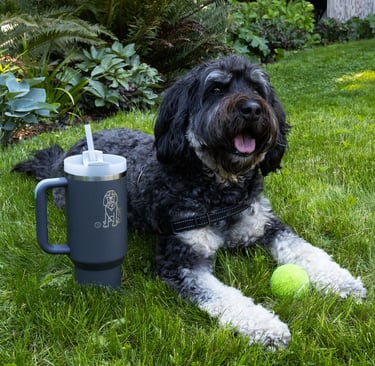Cachorro sentado na grama com uma caneca Stanley, mostrando uso casual e resistente para pets.