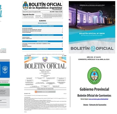 Diarios Oficiales de cada Provincia