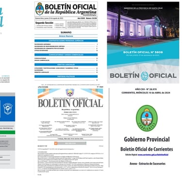 Diarios Oficiales de cada Provincia