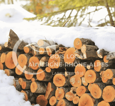 tas de bois avec de la neige dessus