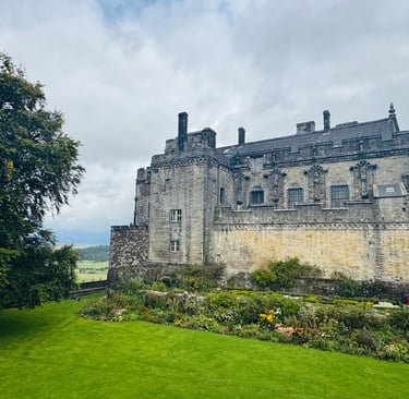 Stirling Castle with gardens and large tree in foregound