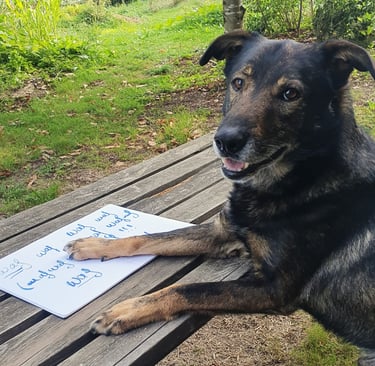 Un chien qui fait une séance d'évaluation avec un cahier 