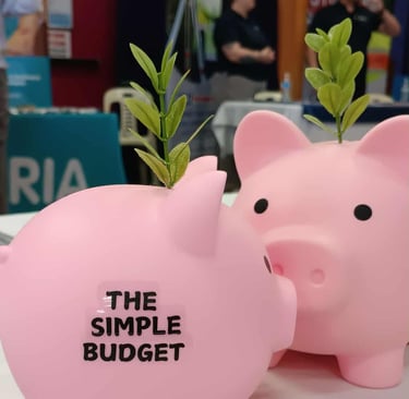 The Simple Budget Money Box Piggy