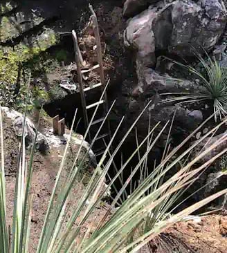 Ladder down into post fire cave, Kangaroo Island