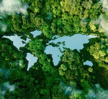 Environmental Benefits