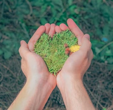 Environmental sustainability