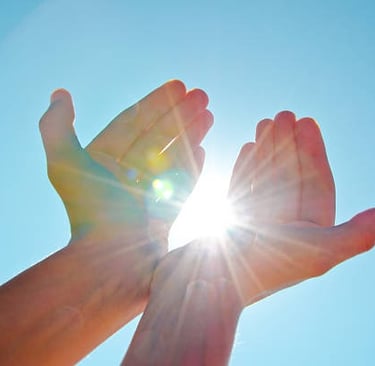 Embrace sustainability