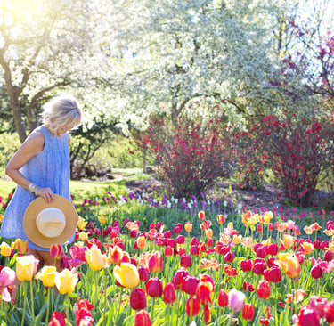 Pruning and gardening