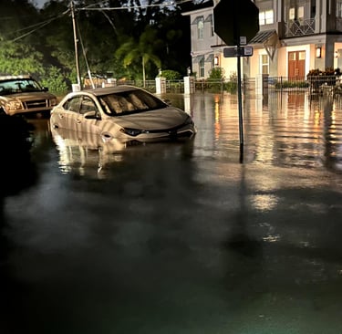 Courtesy of Deborah Brunozzi. Palm Harbor FL, 9/2024