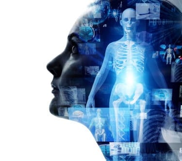 Mind Body Connection