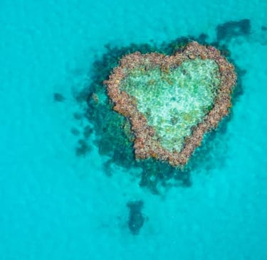 Heart shaped reef