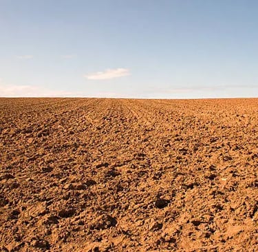 Soil Degradation
