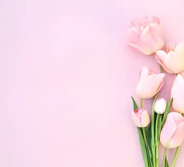 Understanding menopause