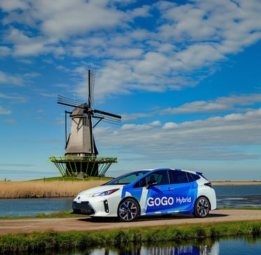 Holland Michigan Prius GoGo hybrid battery repair