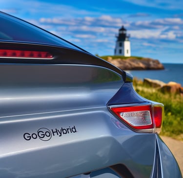 Traverse City Michigan old mission point GoGoHybridBattery.com