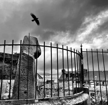 A modern photograph cleverly taken with a bird in flight.