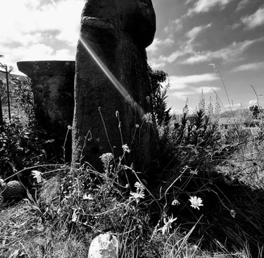 A modern photograph where someone has placed a skull no doubt for effect.