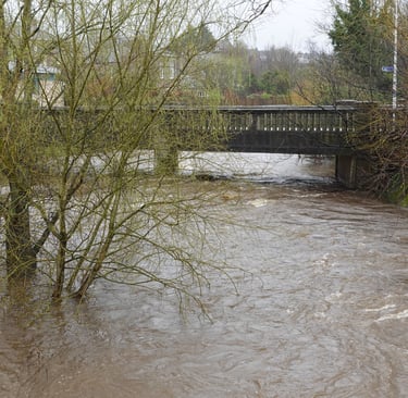 Water of Leith High Water 5 April 2024 (c) H Ross