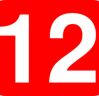 Court Services | 12 Questions We Answer