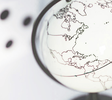 Supply chain cosmetics