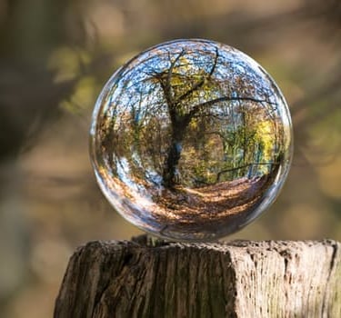 Glass sphere reflecting a tree