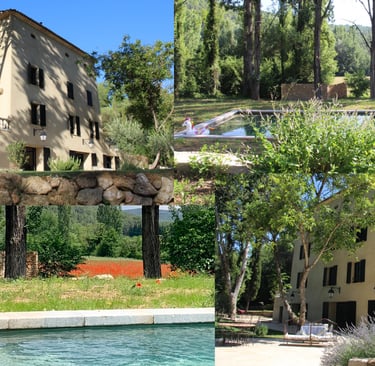 photos de présentation de l'Oasis du Lion 83