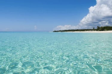 Crystal clear turquoise ocean water at a tropical white sand beach under a bright blue sky.