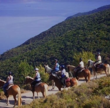 Horse riding Kefalonia activities